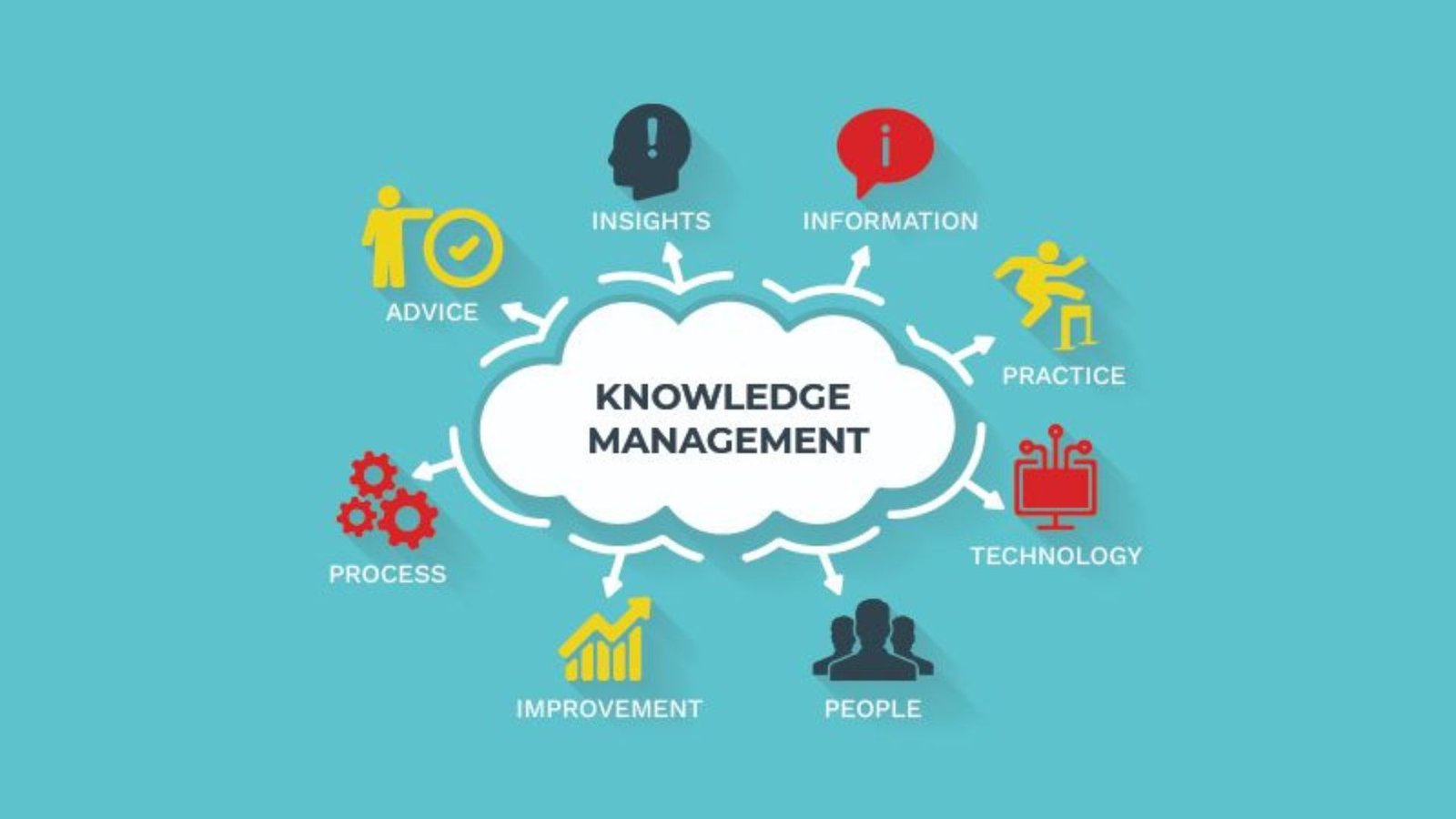 Improving Knowledge Management in Organizations