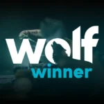 Why Wolf Winner Casino Outshines Your Local RSL and Pub Experience